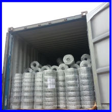 Galvanized Grassland Fence/Field Fence/Grassland Netting (Gold supplier/Manufacturer/ISO)